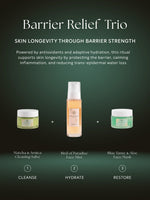 Load image into Gallery viewer, Matcha & Arnica Cleansing Salve