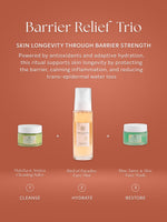 Load image into Gallery viewer, Bird Of Paradise Mist