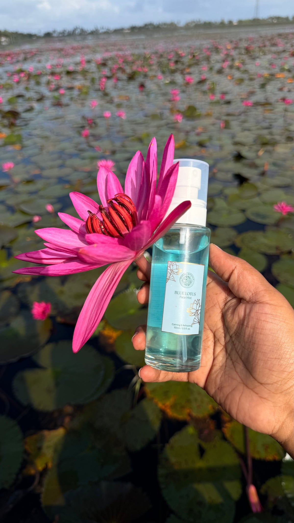 Blue Lotus for Dry & Dehydrated Skin: How It Fits Into Your Routine