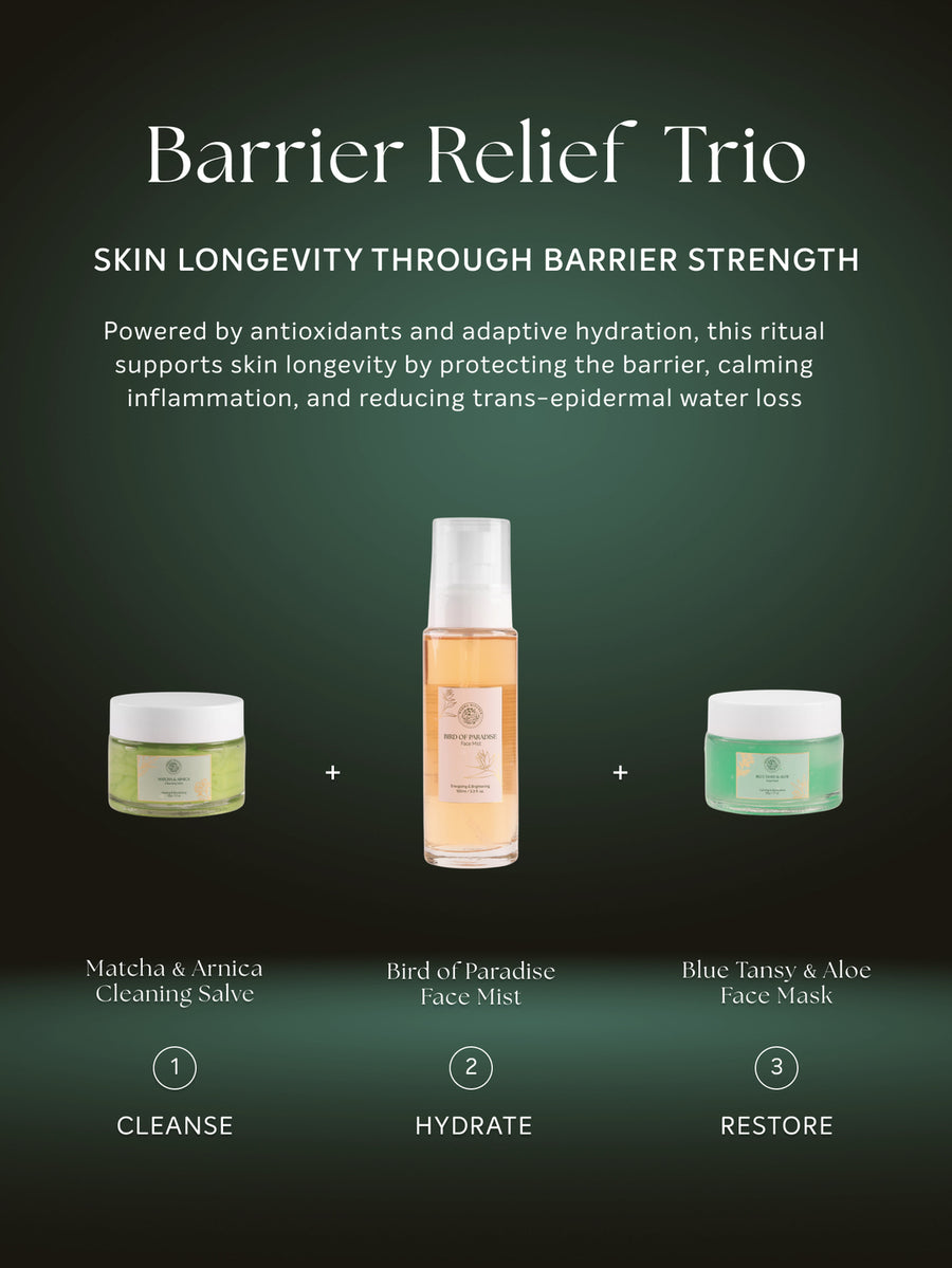 Matcha & Arnica Cleansing Salve