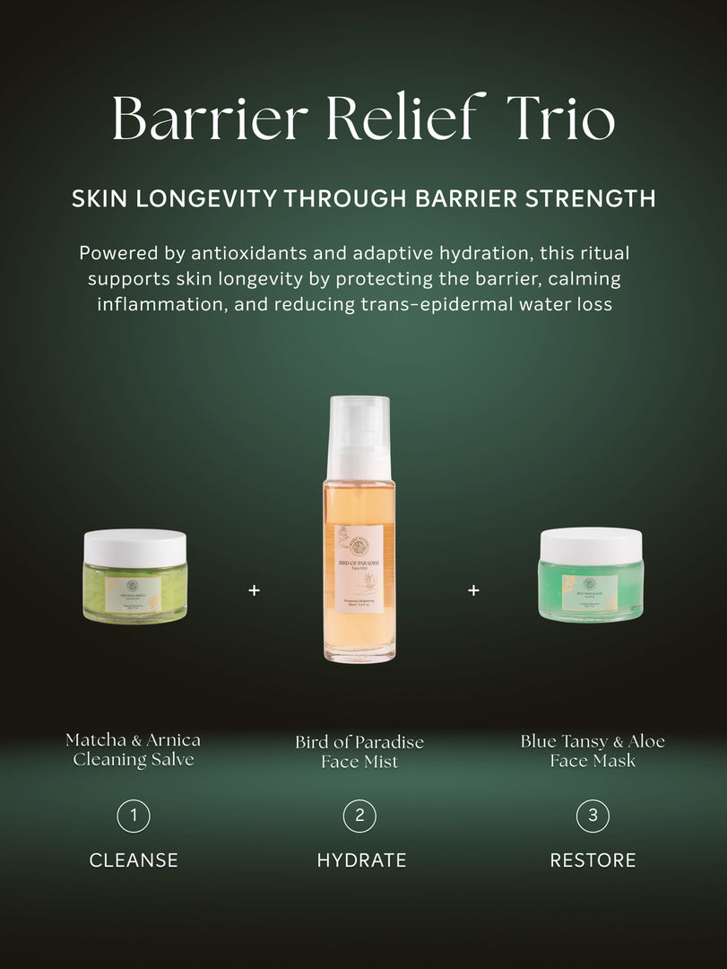 Matcha & Arnica Cleansing Salve