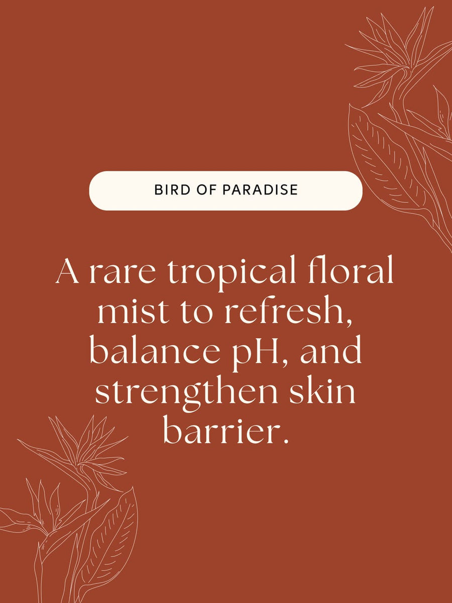 Bird Of Paradise Mist