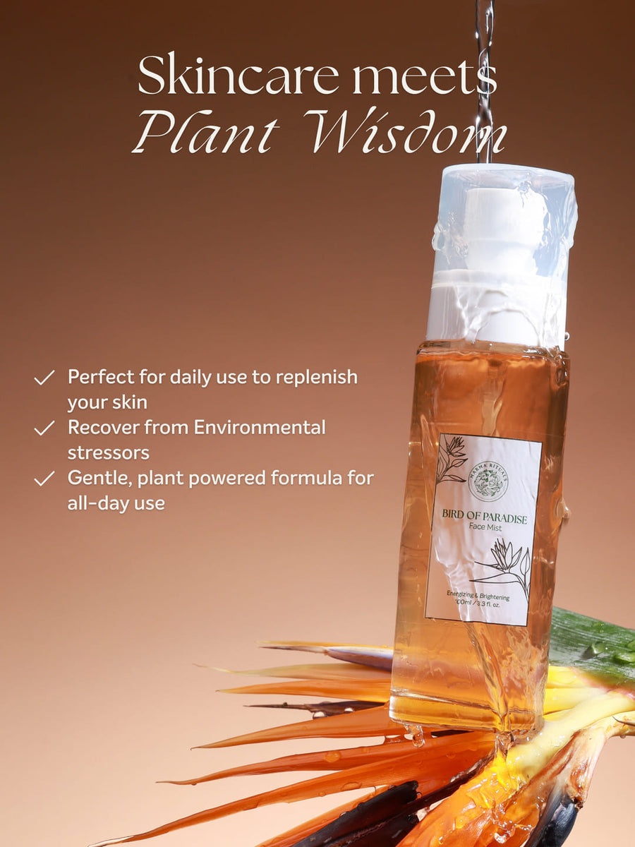 Bird Of Paradise Mist